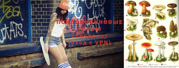 apvp Арсеньев