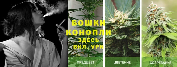 apvp Арсеньев