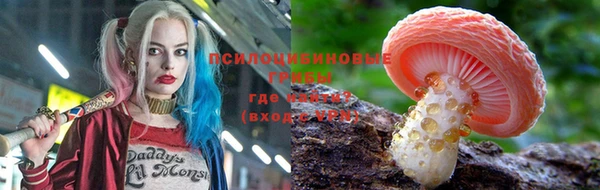 apvp Арсеньев