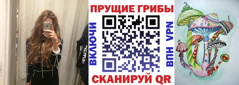 Псилоцибиновые грибы прущие грибы  Чаплыгин 